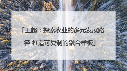 王超：探索农业的多元发展路径 打造可复制的融合样板