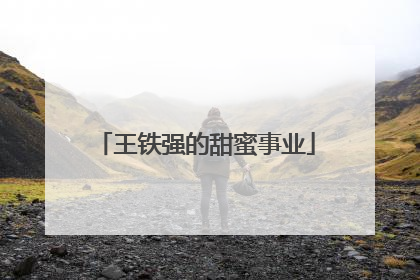 王铁强的甜蜜事业