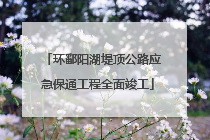 环鄱阳湖堤顶公路应急保通工程全面竣工