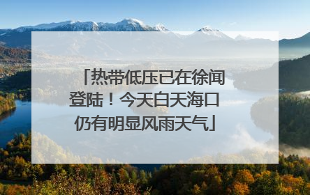 热带低压已在徐闻登陆！今天白天海口仍有明显风雨天气