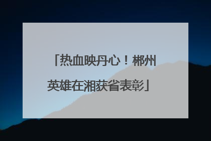 热血映丹心！郴州英雄在湘获省表彰