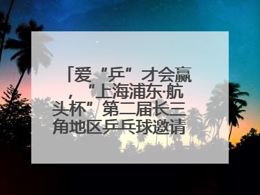 爱“乒”才会赢，“上海浦东·航头杯”第二届长三角地区乒乓球邀请赛举行