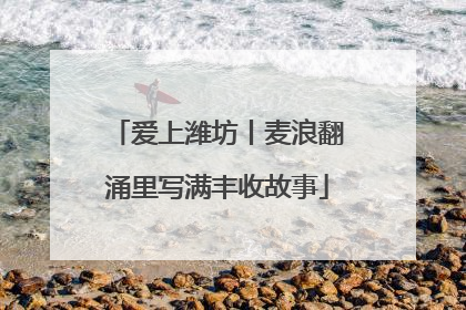 爱上潍坊丨麦浪翻涌里写满丰收故事