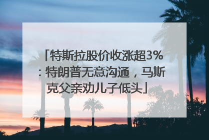 特斯拉股价收涨超3%：特朗普无意沟通，马斯克父亲劝儿子低头