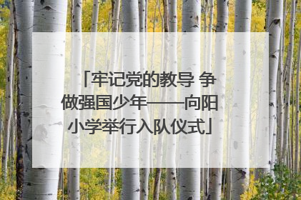 牢记党的教导 争做强国少年——向阳小学举行入队仪式