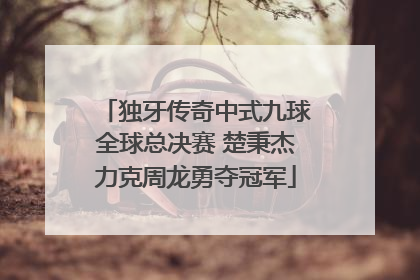 独牙传奇中式九球全球总决赛 楚秉杰力克周龙勇夺冠军