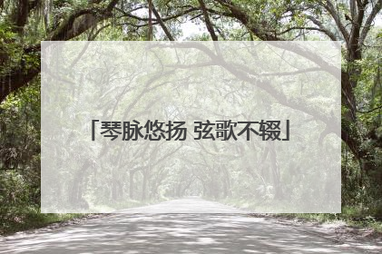 琴脉悠扬 弦歌不辍