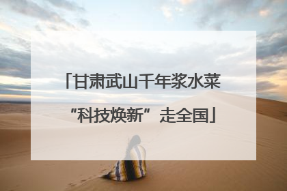 甘肃武山千年浆水菜“科技焕新”走全国