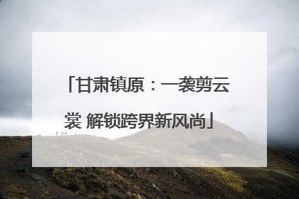 甘肃镇原：一袭剪云裳 解锁跨界新风尚