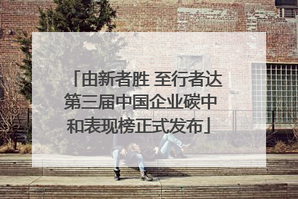 由新者胜 至行者达 第三届中国企业碳中和表现榜正式发布