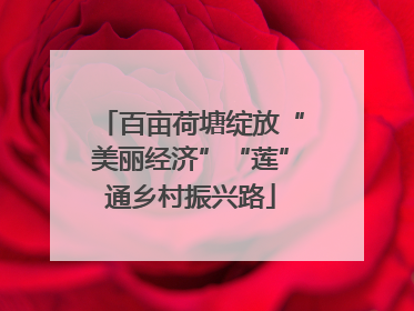 百亩荷塘绽放“美丽经济”“莲”通乡村振兴路