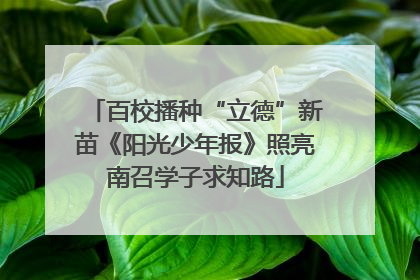 百校播种“立德”新苗《阳光少年报》照亮南召学子求知路