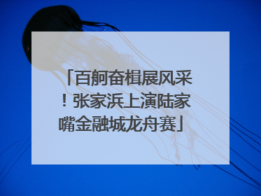 百舸奋楫展风采！张家浜上演陆家嘴金融城龙舟赛