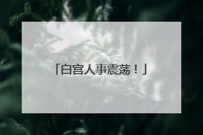 白宫人事震荡！