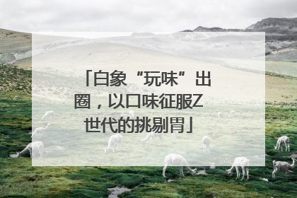 白象“玩味”出圈，以口味征服Z世代的挑剔胃