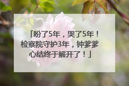 盼了5年，哭了5年！检察院守护3年，钟爹爹心结终于解开了！