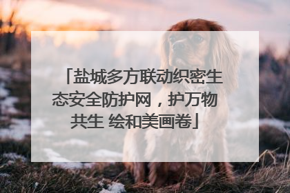 盐城多方联动织密生态安全防护网，护万物共生 绘和美画卷
