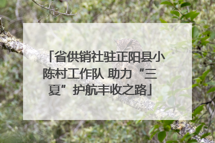 省供销社驻正阳县小陈村工作队 助力“三夏”护航丰收之路