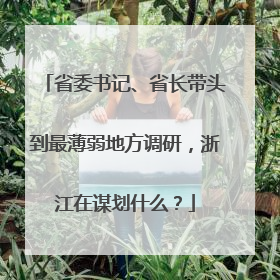 省委书记、省长带头到最薄弱地方调研，浙江在谋划什么？