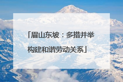 眉山东坡：多措并举构建和谐劳动关系