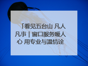 看见五台山 凡人凡事｜窗口服务暖人心 用专业与温情诠释责任担当
