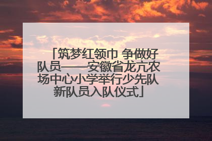 筑梦红领巾 争做好队员——安徽省龙亢农场中心小学举行少先队新队员入队仪式