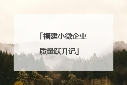 福建小微企业质量跃升记