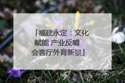 福建永定：文化赋能 产业反哺 会客厅外育新景