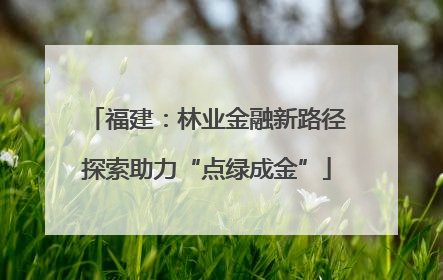 福建：林业金融新路径探索助力“点绿成金”