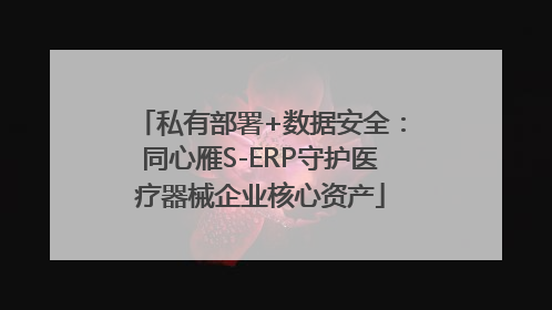 私有部署+数据安全：同心雁S-ERP守护医疗器械企业核心资产