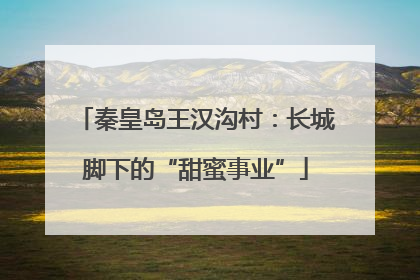 秦皇岛王汉沟村：长城脚下的“甜蜜事业”