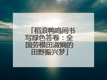 稻浪鸭鸣间书写绿色答卷：全国劳模田淑娴的田野振兴梦