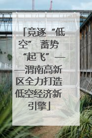 竞逐“低空” 蓄势“起飞”——渭南高新区全力打造低空经济新引擎