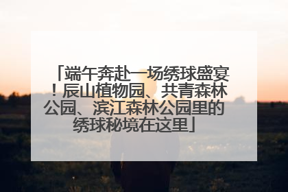 端午奔赴一场绣球盛宴！辰山植物园、共青森林公园、滨江森林公园里的绣球秘境在这里
