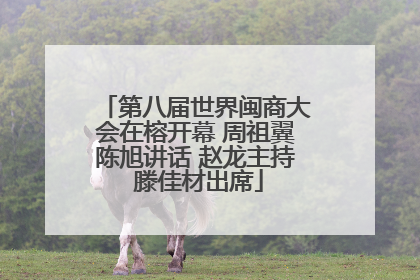 第八届世界闽商大会在榕开幕 周祖翼陈旭讲话 赵龙主持 滕佳材出席
