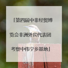 第四届中非经贸博览会非洲外宾代表团考察中伟宁乡基地