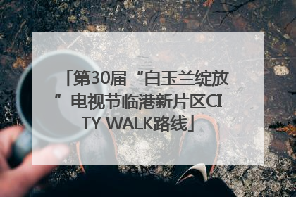 第30届“白玉兰绽放”电视节临港新片区CITY WALK路线