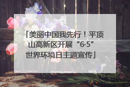 美丽中国我先行！平顶山高新区开展“6·5”世界环境日主题宣传