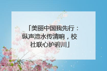 美丽中国我先行：纵声澧水传清响，校社联心护碧川