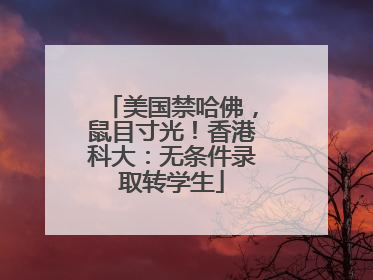 美国禁哈佛，鼠目寸光！香港科大：无条件录取转学生