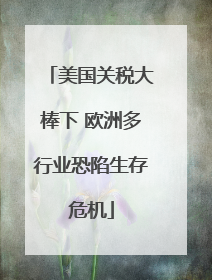 美国关税大棒下 欧洲多行业恐陷生存危机