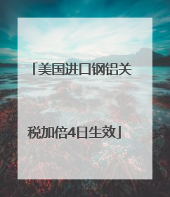 美国进口钢铝关税加倍4日生效
