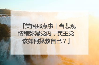 美国那点事｜当悲观情绪弥漫党内，民主党该如何拯救自己？