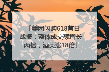 美团闪购618首日战报：整体成交额增长两倍，酒类涨18倍