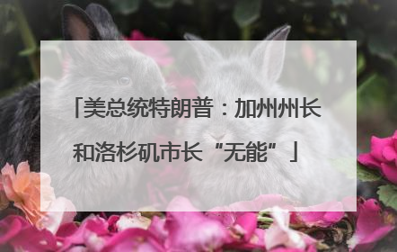 美总统特朗普：加州州长和洛杉矶市长“无能”