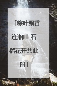 粽叶飘香连湘吐 石榴花开共此时