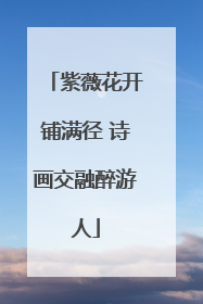 紫薇花开铺满径 诗画交融醉游人