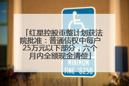 红星控股重整计划获法院批准：普通债权中每户25万元以下部分，六个月内全额现金清偿