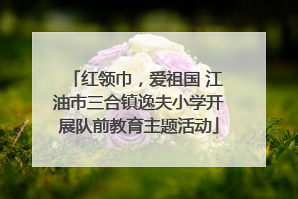 红领巾，爱祖国 江油市三合镇逸夫小学开展队前教育主题活动