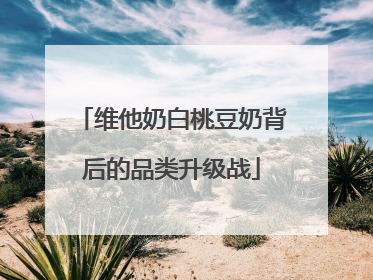 维他奶白桃豆奶背后的品类升级战